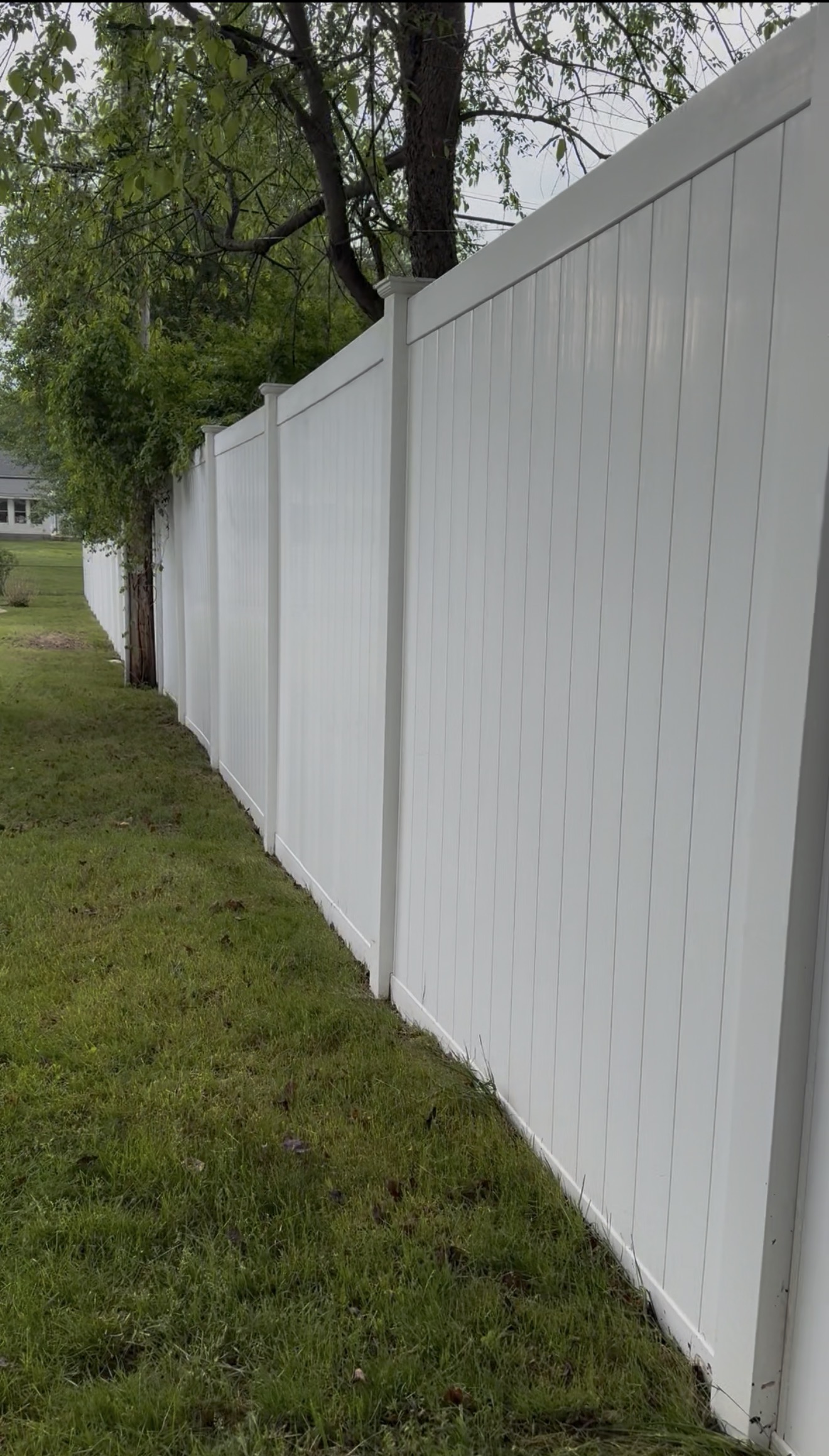 After fence cleaning Capital Region NY